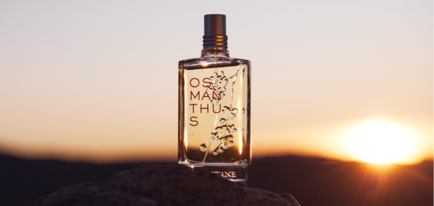 4. Tipp: Erst Feuchtigkeitspflege, dann Parfum