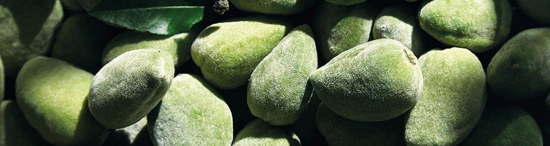 Was tun gegen Cellulite