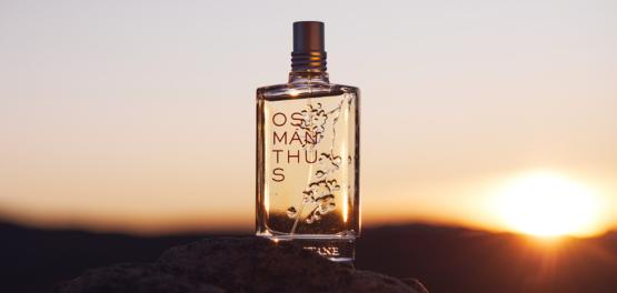 4. Tipp: Erst Feuchtigkeitspflege, dann Parfum