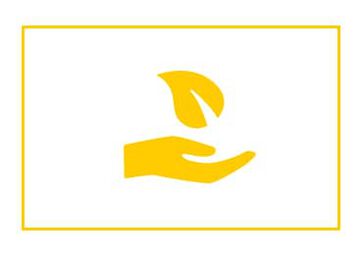 Partnerschaften
