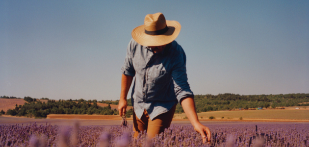 Lavendel-Produzent