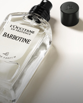 Barbotine
