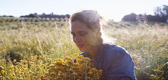 Catherine Sanci Immortelle