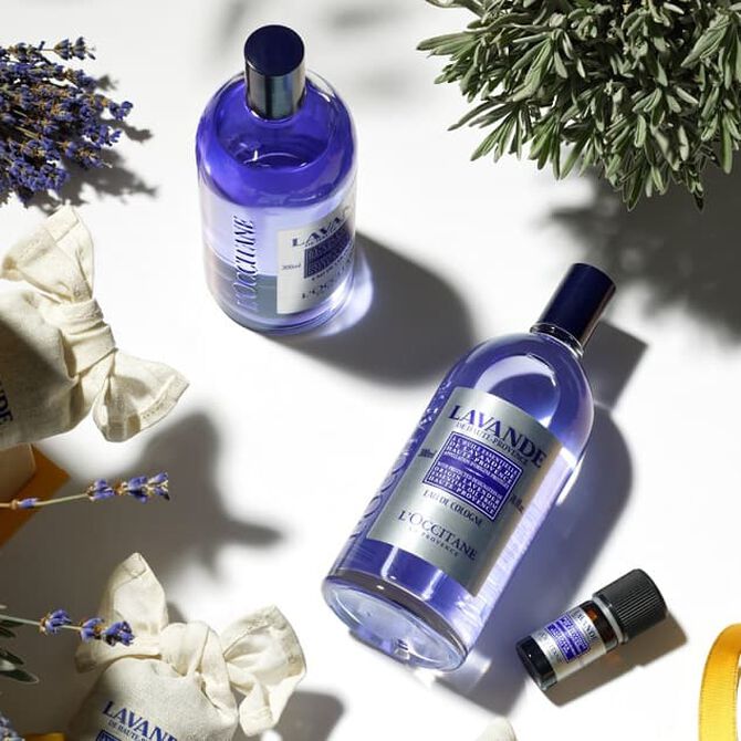 Zeitloser Lavendel