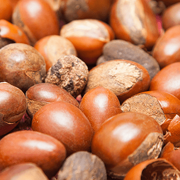 Sheabutter
