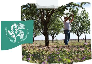 respect de la biodiversite