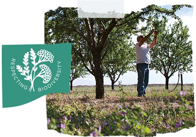respect de la biodiversite
