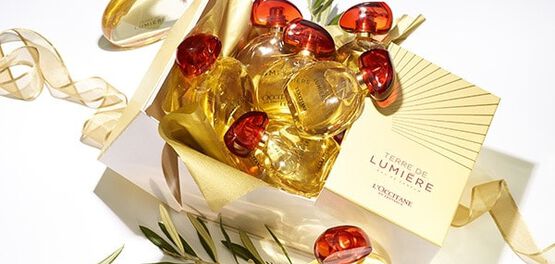eau de parfum terre de lumiere