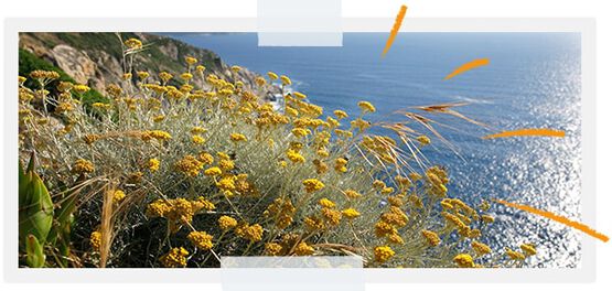 ...Zum Schutz der Biodiversit&auml;t in unseren Landschaften