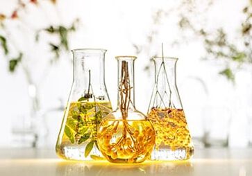 NIVEAU 2: Formulierungs-Charta