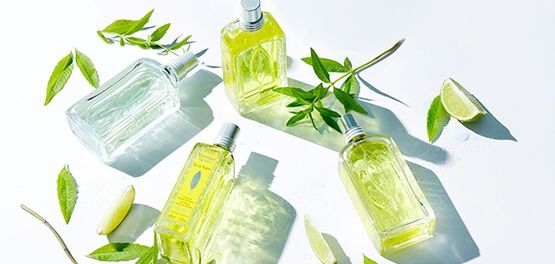 eau de toilette verbene