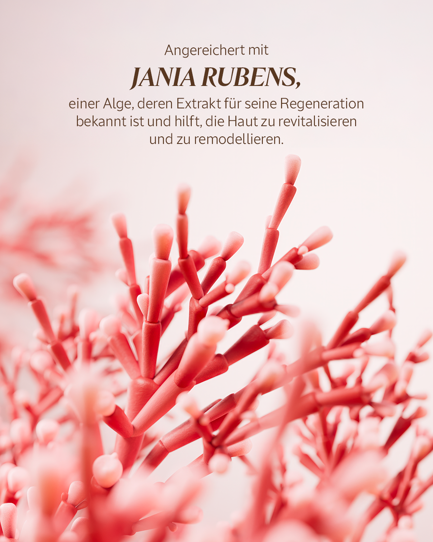 Bildanzeige 3/7 des Produkts Immortelle Harmonie Gesichtsserum, , RECT