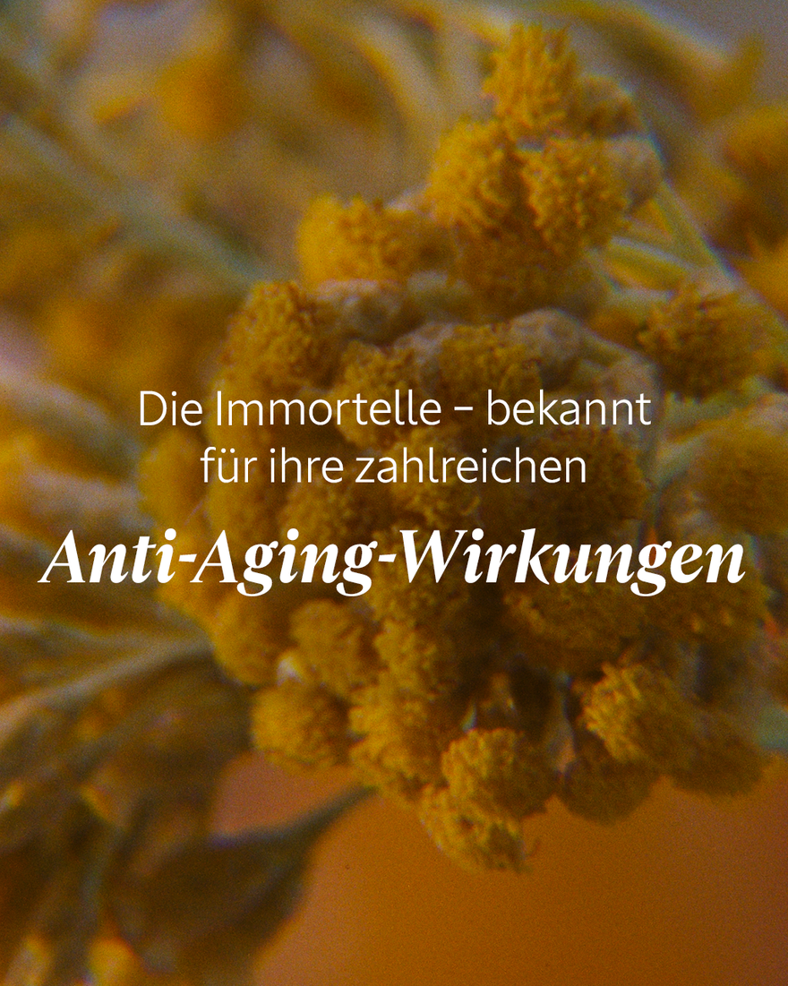 Bildanzeige 6/10 des Produkts Immortelle Shea K&ouml;rperbalsam, , RECT