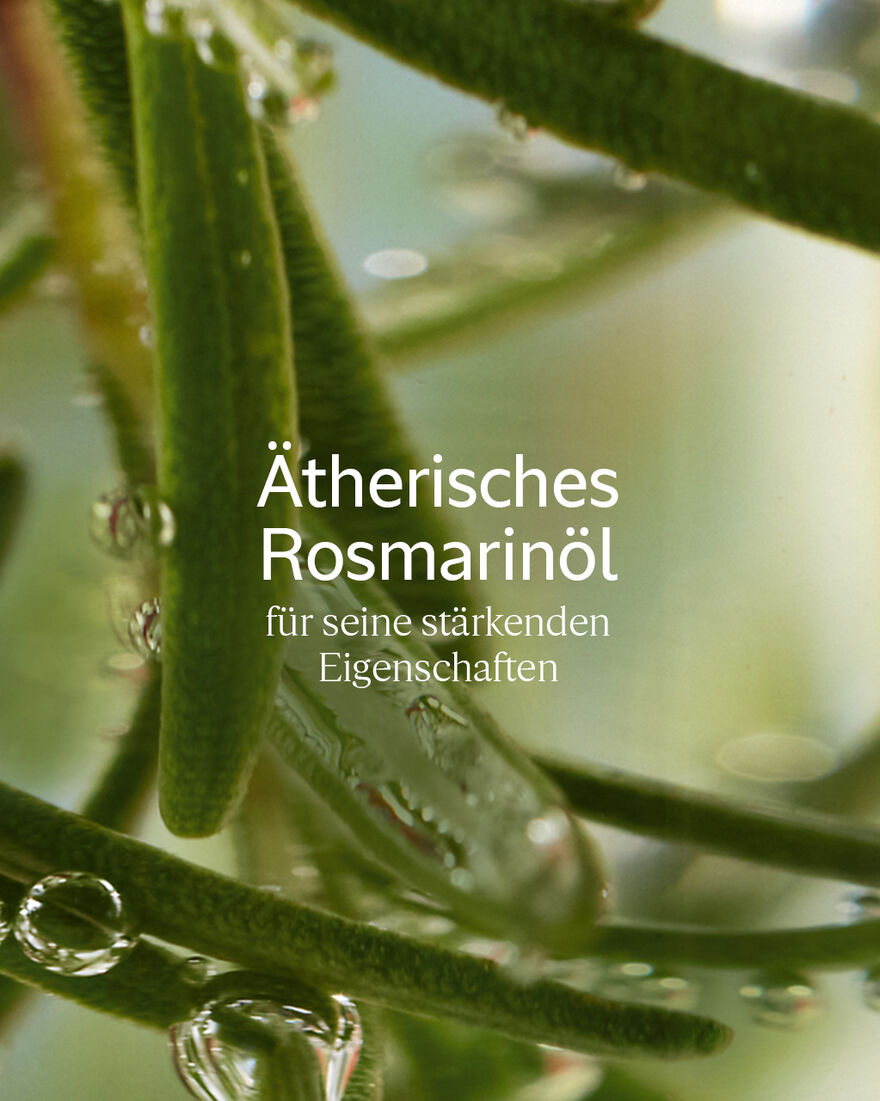 Bildanzeige 3/3 des Produkts Aromachologie Kraft & Volumen Shampoo, , RECT