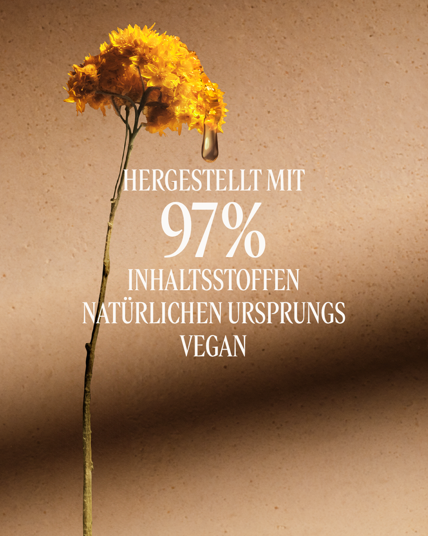 Bildanzeige 6/12 des Produkts Immortelle Divine Straffendes K&ouml;rper&ouml;l, , RECT