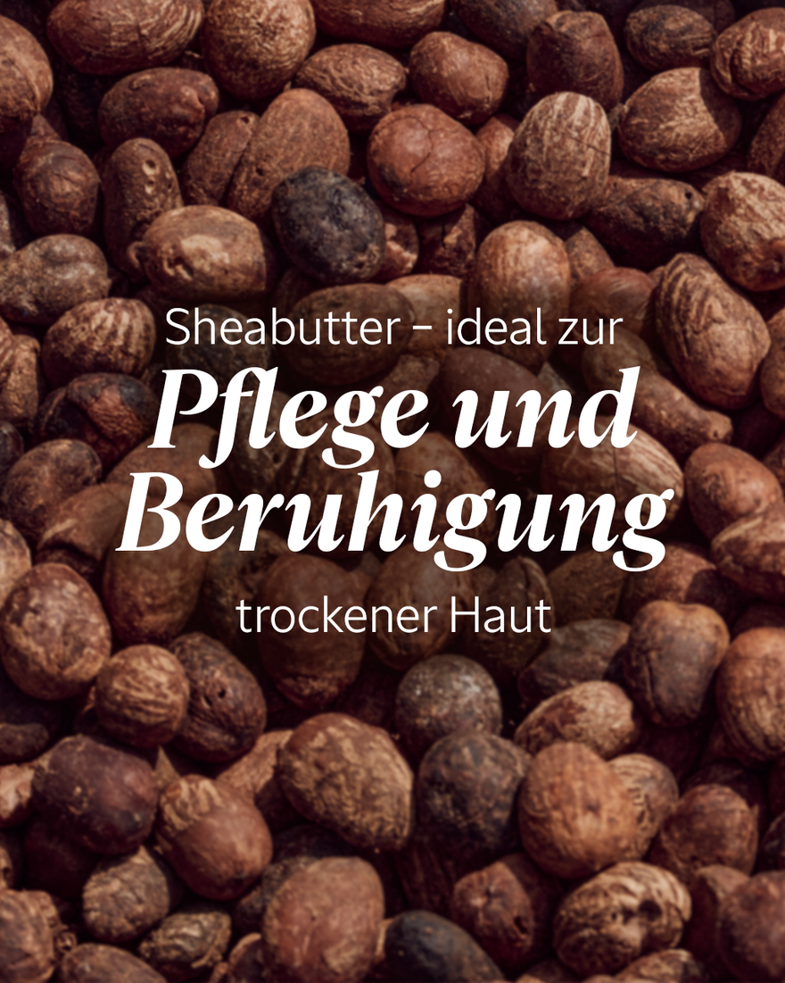 Bildanzeige 6/9 des Produkts Sheabutter Ultra Riche Gesichtscreme, , RECT