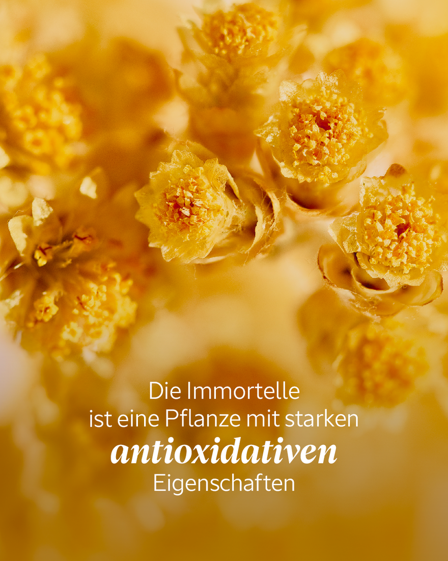 Bildanzeige 3/7 des Produkts Immortelle Pr&eacute;cieuse Emulsion, , RECT
