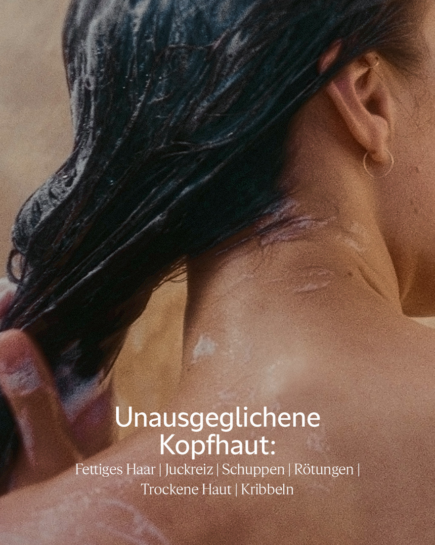 Bildanzeige 3/5 des Produkts Aromachologie Sanfte Balance Conditioner, , RECT