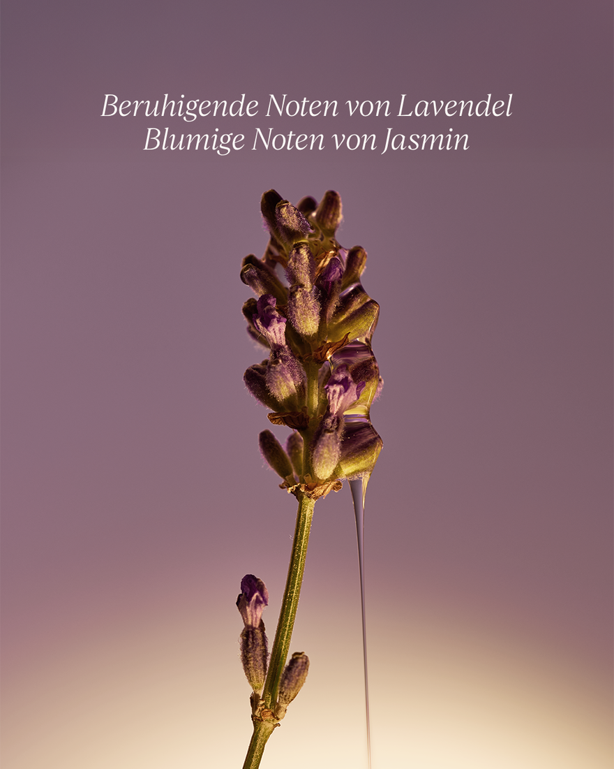 Bildanzeige 7/8 des Produkts Fl&uuml;ssigseife f&uuml;r H&auml;nde & K&ouml;rper Lavendel, , RECT