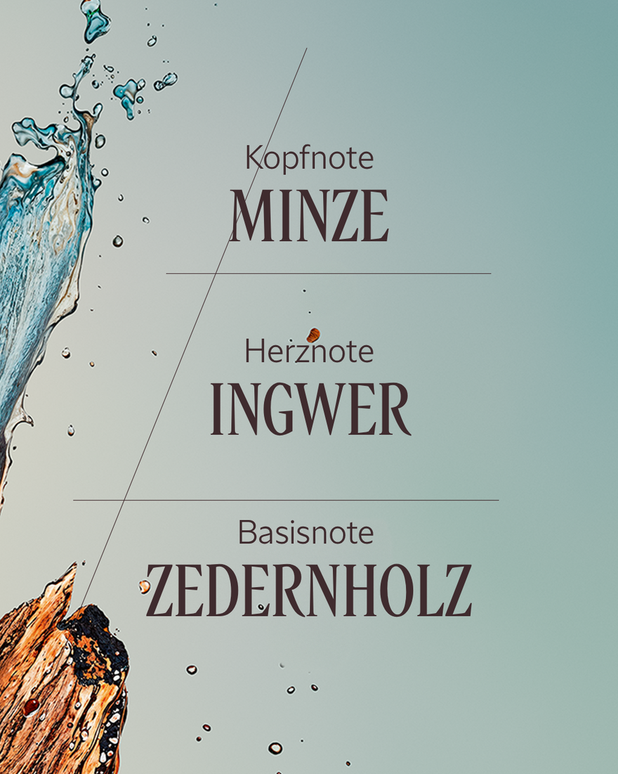 Bildanzeige 4/7 des Produkts Eau de Toilette C&egrave;dre Gingembre (Cap C&eacute;drat), , RECT