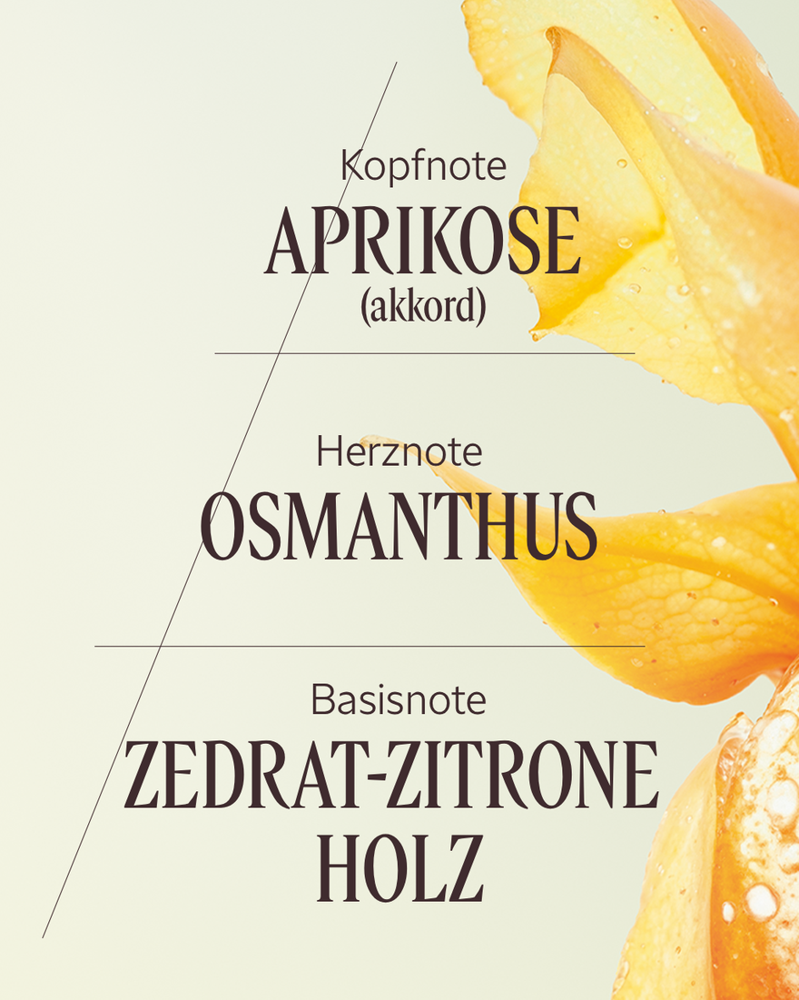 Bildanzeige 4/7 des Produkts Eau de Toilette Osmanthus Abricot, , RECT
