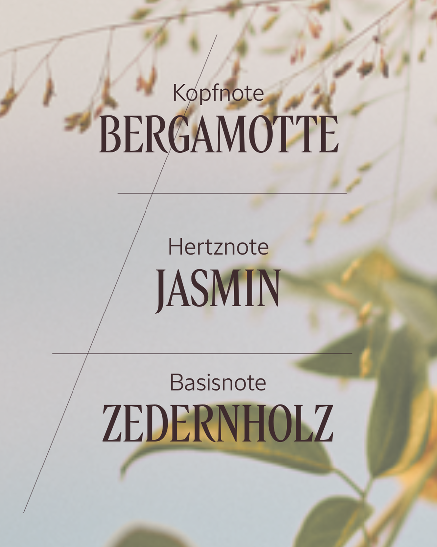 Bildanzeige 4/6 des Produkts Eau de Toilette Jasmin & Bergamote, , RECT