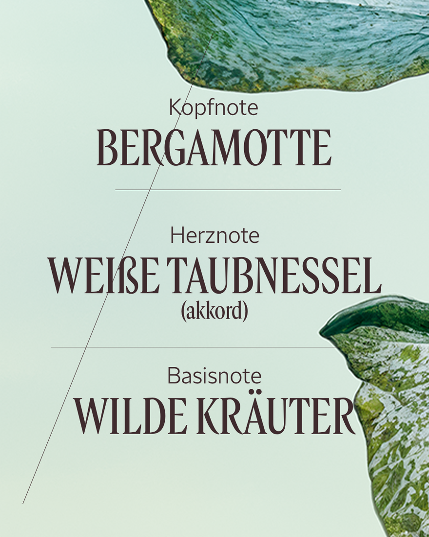 Bildanzeige 4/7 des Produkts Eau de Parfum Ortie Blanche (Herbae), , RECT