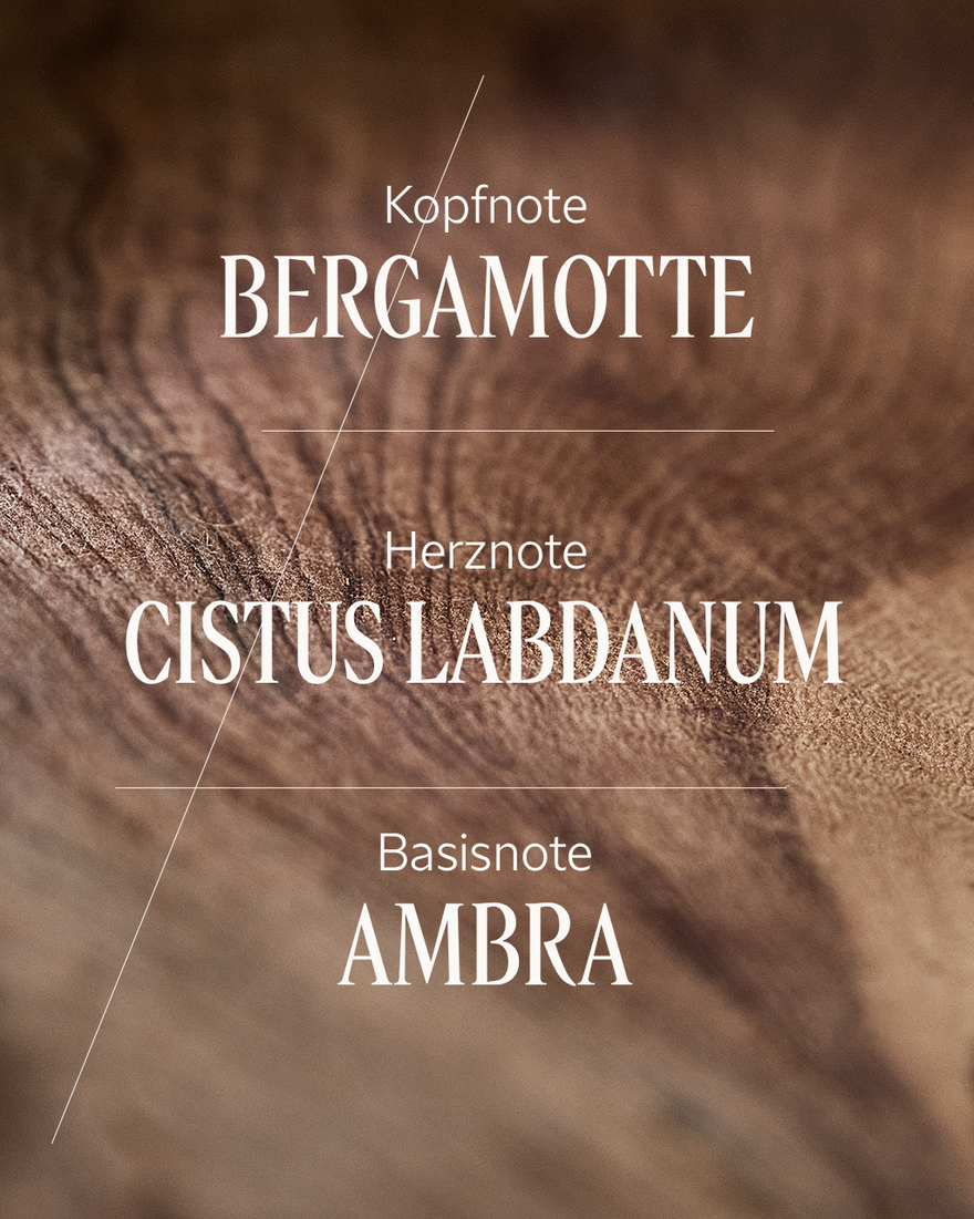 Bildanzeige 4/6 des Produkts Eau de Parfum Ambre, , RECT