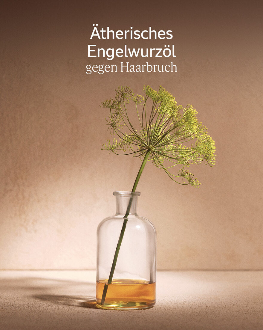 Bildanzeige 5/6 des Produkts Aromachologie Intensiv-Repair Shampoo, , RECT