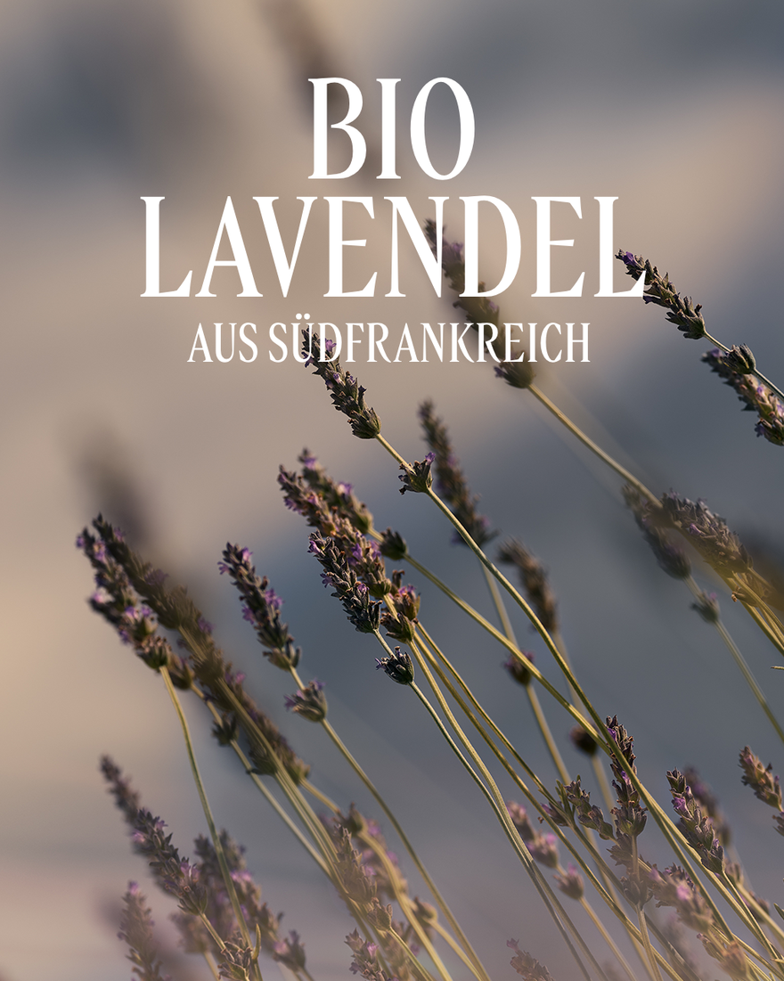 Bildanzeige 3/4 des Produkts Schaumbad Lavande, , RECT