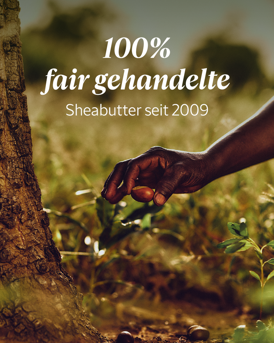 Bildanzeige 7/7 des Produkts Shea Reinigungsmilch, , RECT
