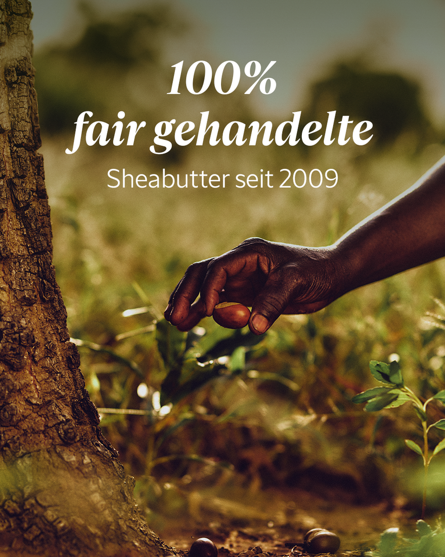 Bildanzeige 7/9 des Produkts Sheabutter Ultra Riche K&ouml;rpercreme, , RECT