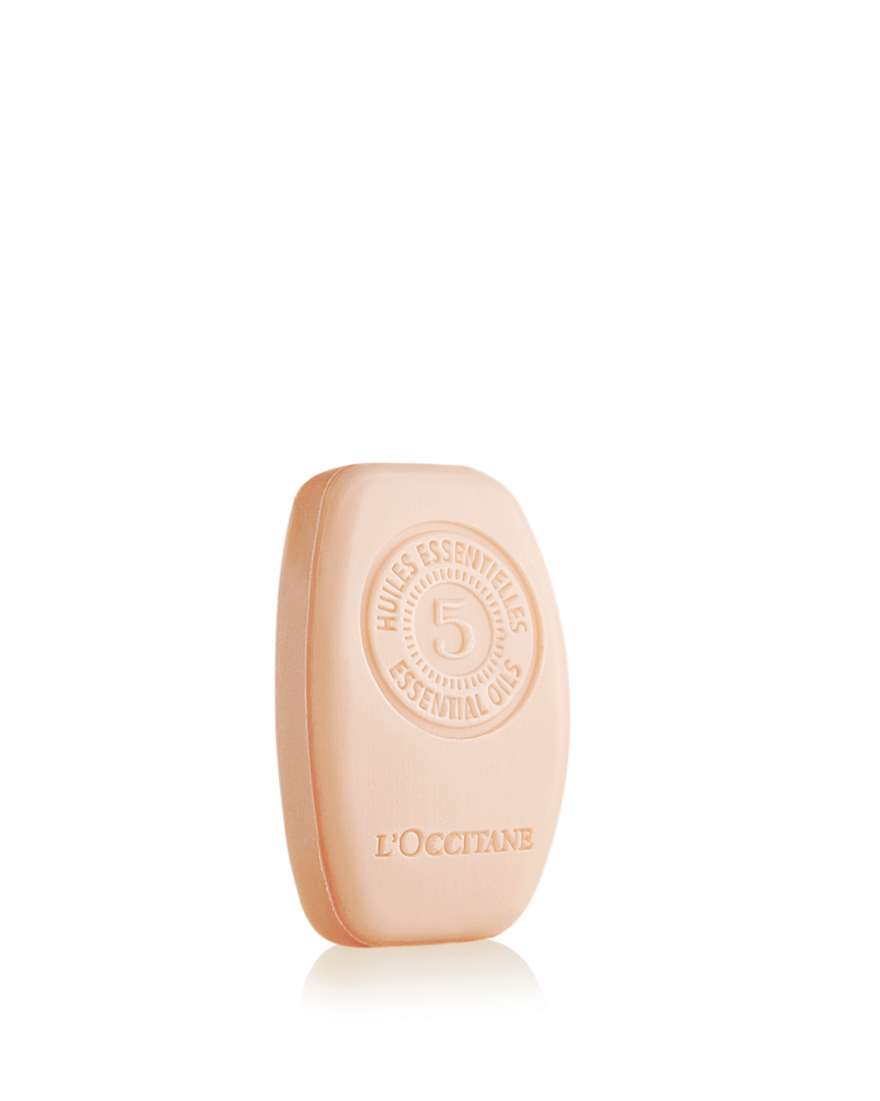Bildanzeige 3/3 des Produkts Aromachologie Intensiv-Repair Festes Shampoo, , RECT