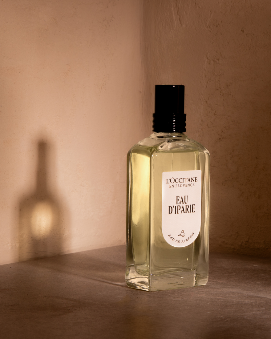 Pure Frische Shampoo Reisegröße L'OCCITANE DE